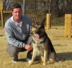 German Import Personal Protection German Shepherd For Sale