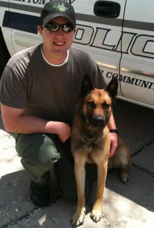 Dual Purpose Police K9 Belgian Malinois Import For Sale