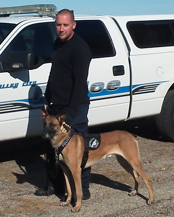 Halloo • Dual Purpose Police Dog • Belgian Malinois • For Sale