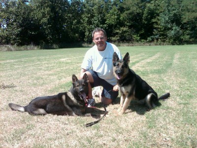 Level 1 Personal Protection Certified German Shepherd dog For Sale - Sina