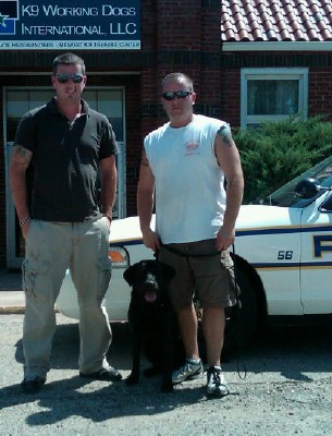 Kilo • Single Purpose Narcotics Detection Police K9 • Belgian Malinois • For Sale