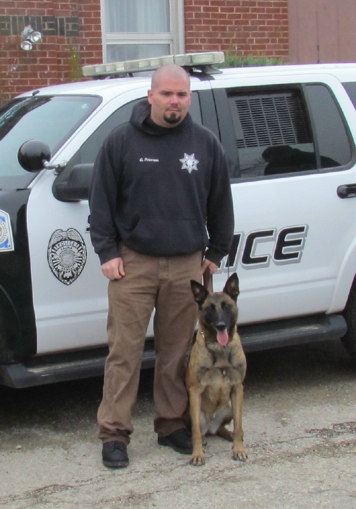 Dual Purpose Police K9 Belgian Malinois Import For Sale