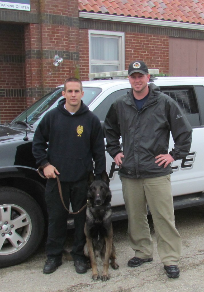 Dual Purpose Police K9 Belgian Malinois Import For Sale