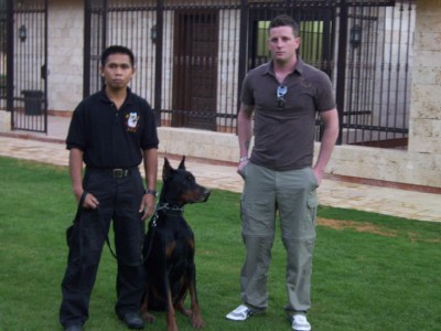 K9 Working Dogs International - Ministry of Defense - Saudi Arabia