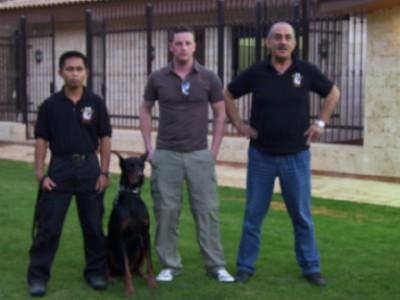 Security Dogs & Guard Dogs For Sale
