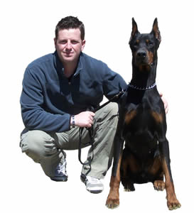 Police K9s For Sale | Personal Protection Dogs For Sale | Federally Licensed Training Center - K9 Working Dogs International, LLC