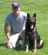K9 Working Dogs | Working Line, Show Line & Sport Competition / Family Protection Dogs, Personal Protection Dogs & Executive Protection Dogs For Sale