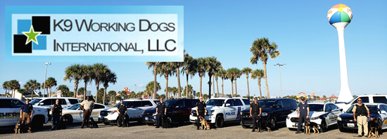 PROTECTION DOGS FOR SALE | Personal Protection | Home Protection | Family Protection | Security Guard Dogs | http://k9wdi.com