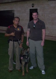 Certified Executive Protection Dogs For Sale