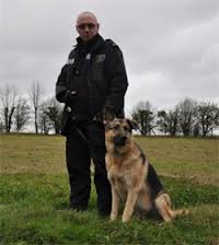 Guard Dogs & Security Dogs For Sale