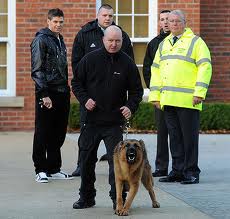 Guard Dogs & Security Dogs For Sale