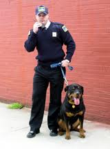 Guard Dogs & Security Dogs For Sale